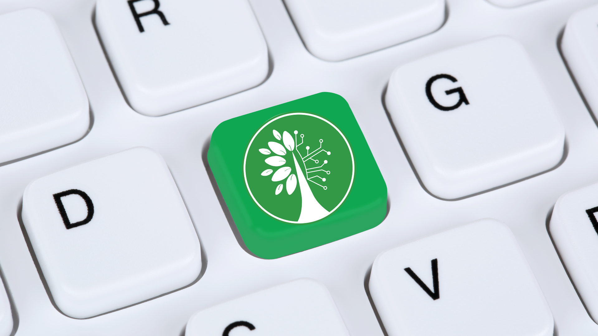 Login background image